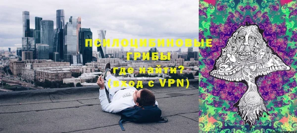 ГАЛЛЮЦИНОГЕННЫЕ ГРИБЫ Кинешма