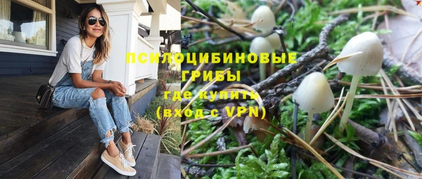 спайс Киренск